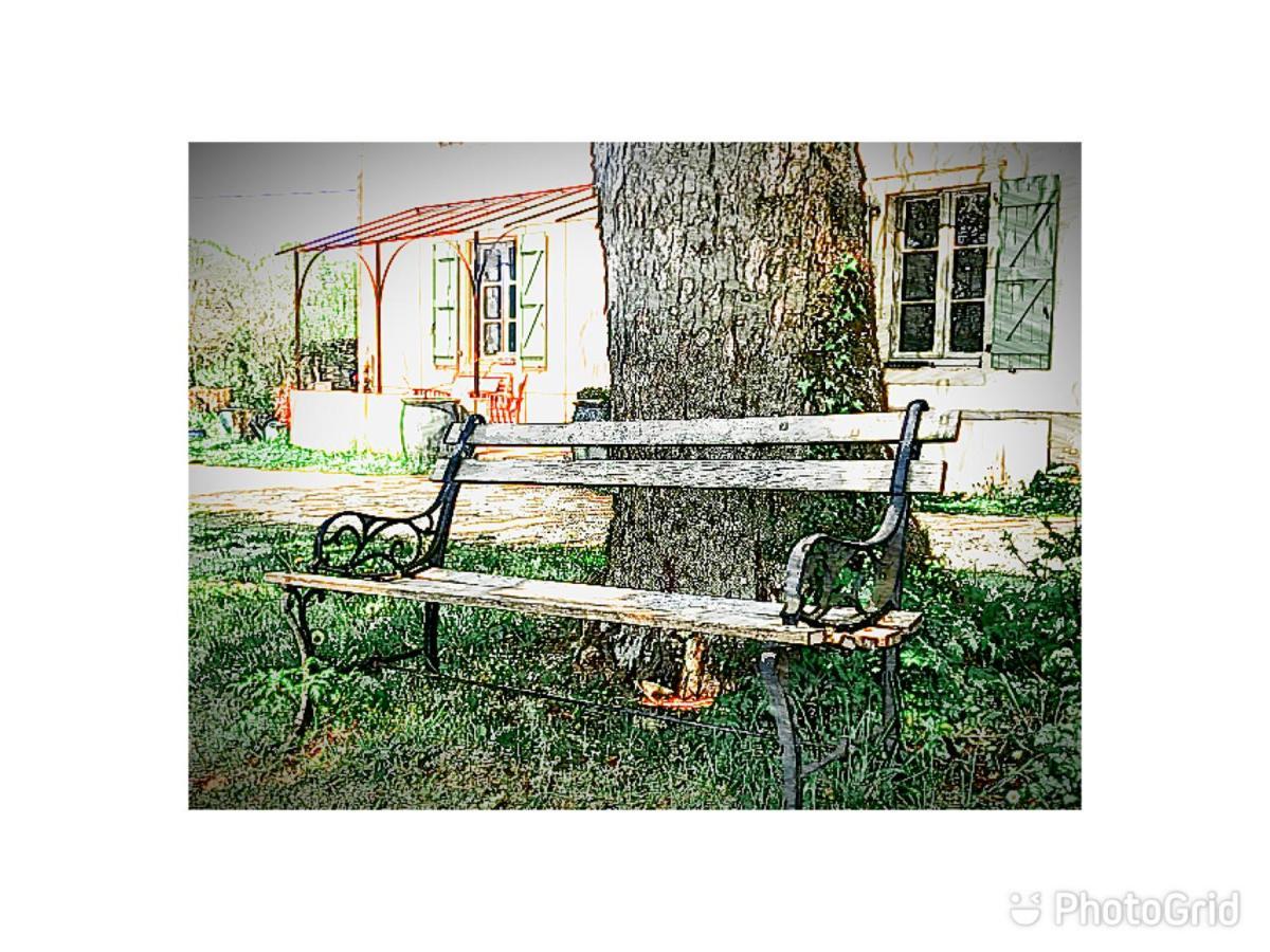 Mas D'Aubrac Bed and Breakfast Limogne-en-Quercy Buitenkant foto